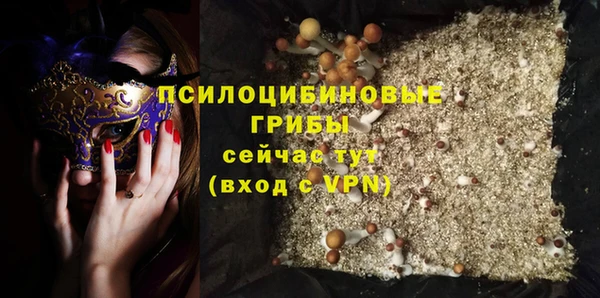 МДПВ Заводоуковск