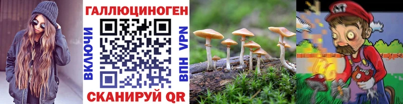 Псилоцибиновые грибы MAGIC MUSHROOMS  дарнет шоп  нарко площадка клад  Дивногорск 